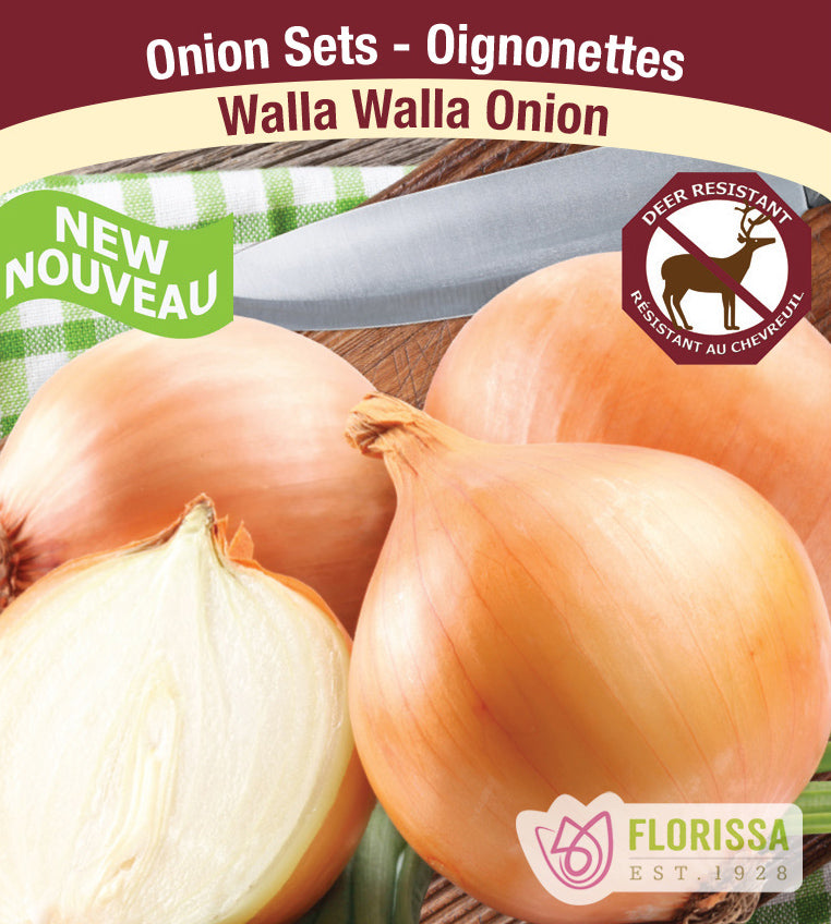 Onion - Walla Walla Sweet Retail