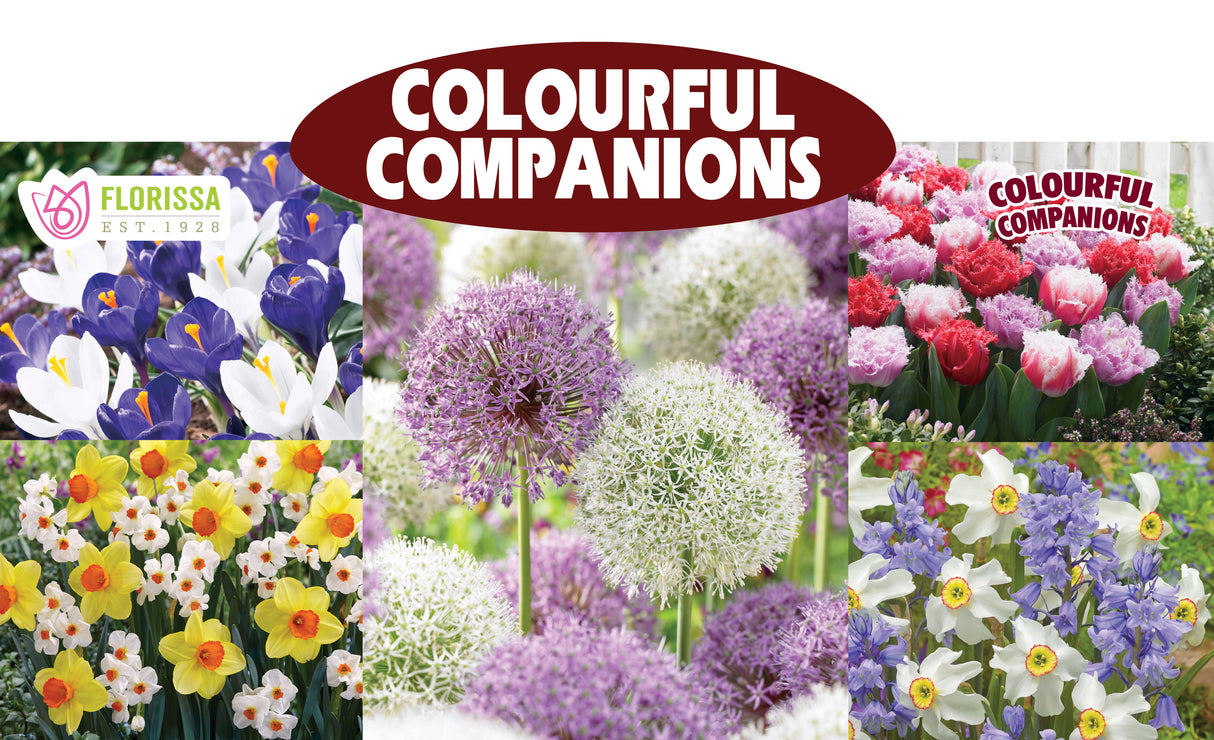Metal Rack Topper - Colourful Companions 25" long