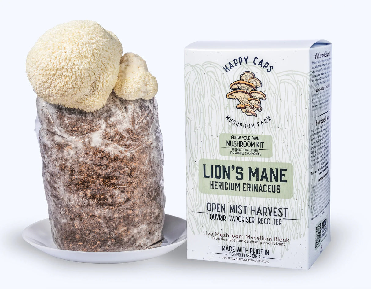 Mushroom Kits - Lions Mane