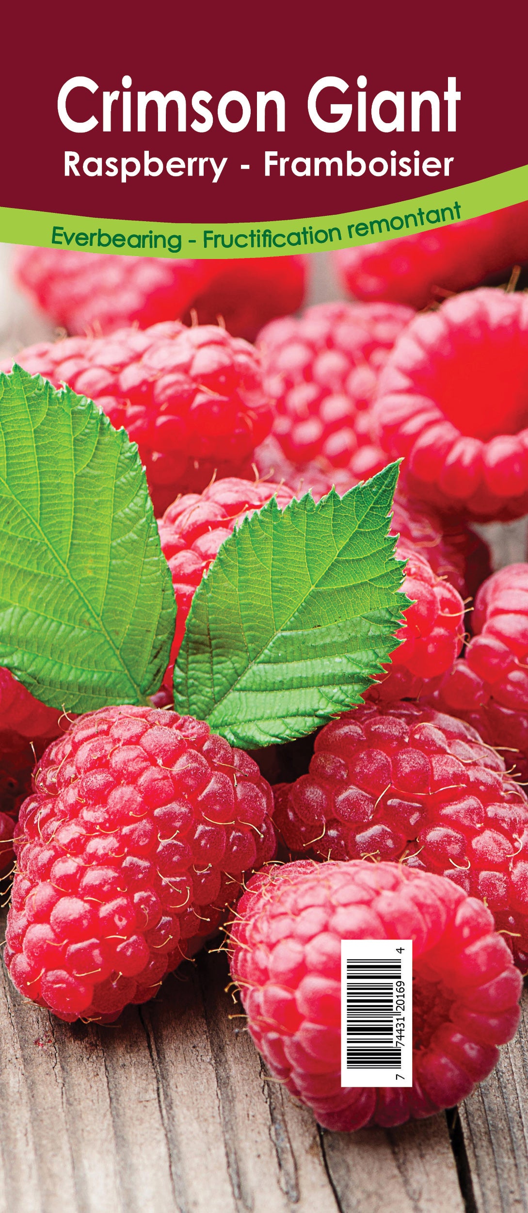 Raspberry Everbearing - Crimson Giant Retail Pot