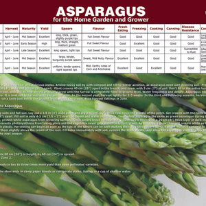 Promotional Material