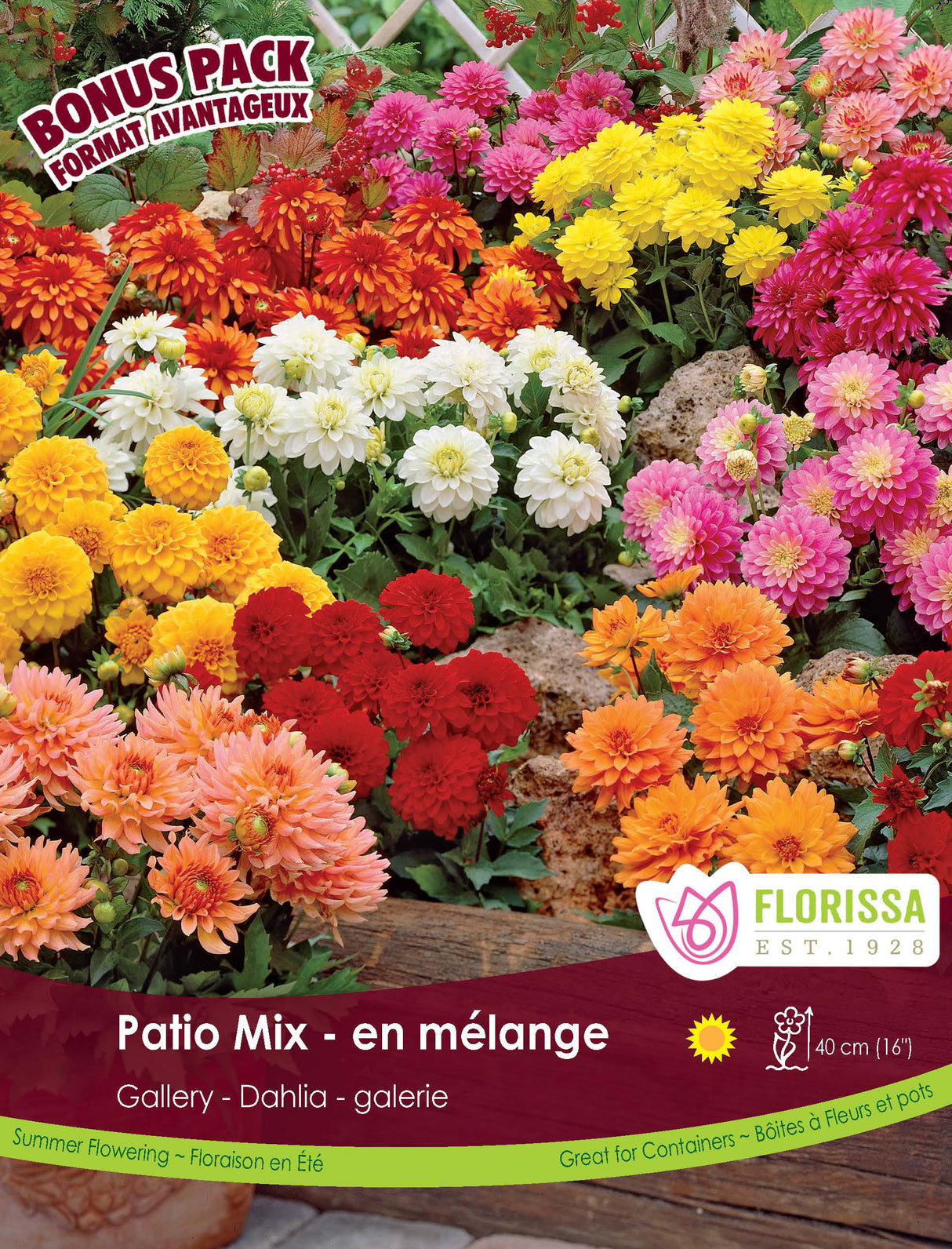 Bonus Pack - Dahlia Gallery Patio Mix
