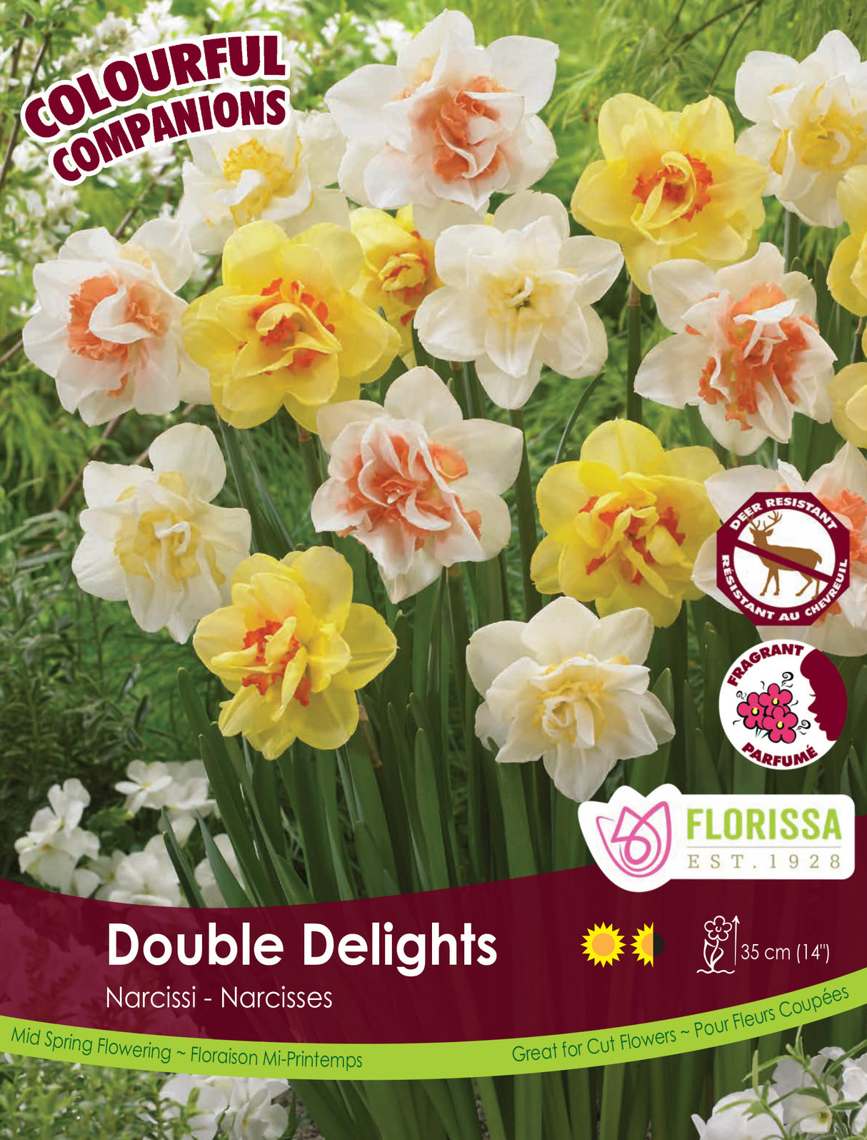 Fall Colourful Companions - Double Delights Bulk