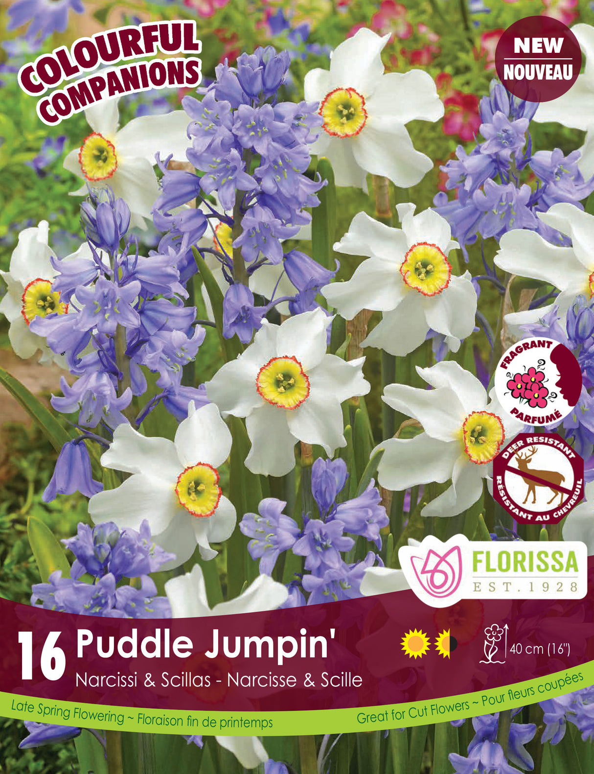 Fall Colourful Companions - Puddle Jumpin' Retail