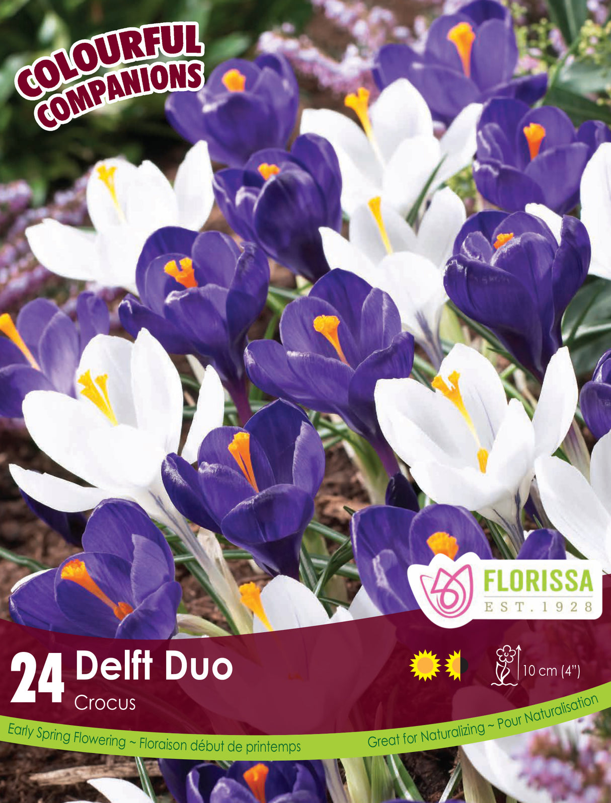 Fall Colourful Companions - Delft Duo Retail