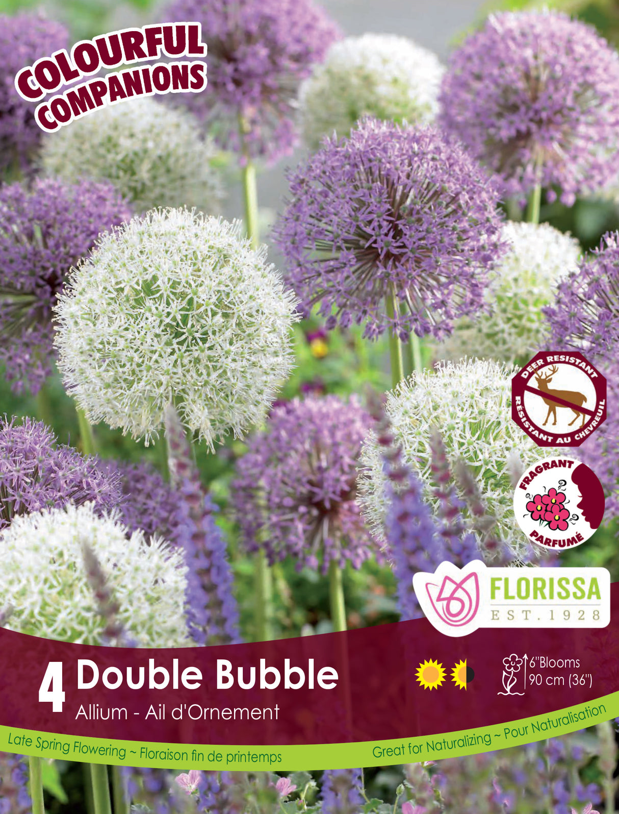Fall Colourful Companions - Double Bubble Retail