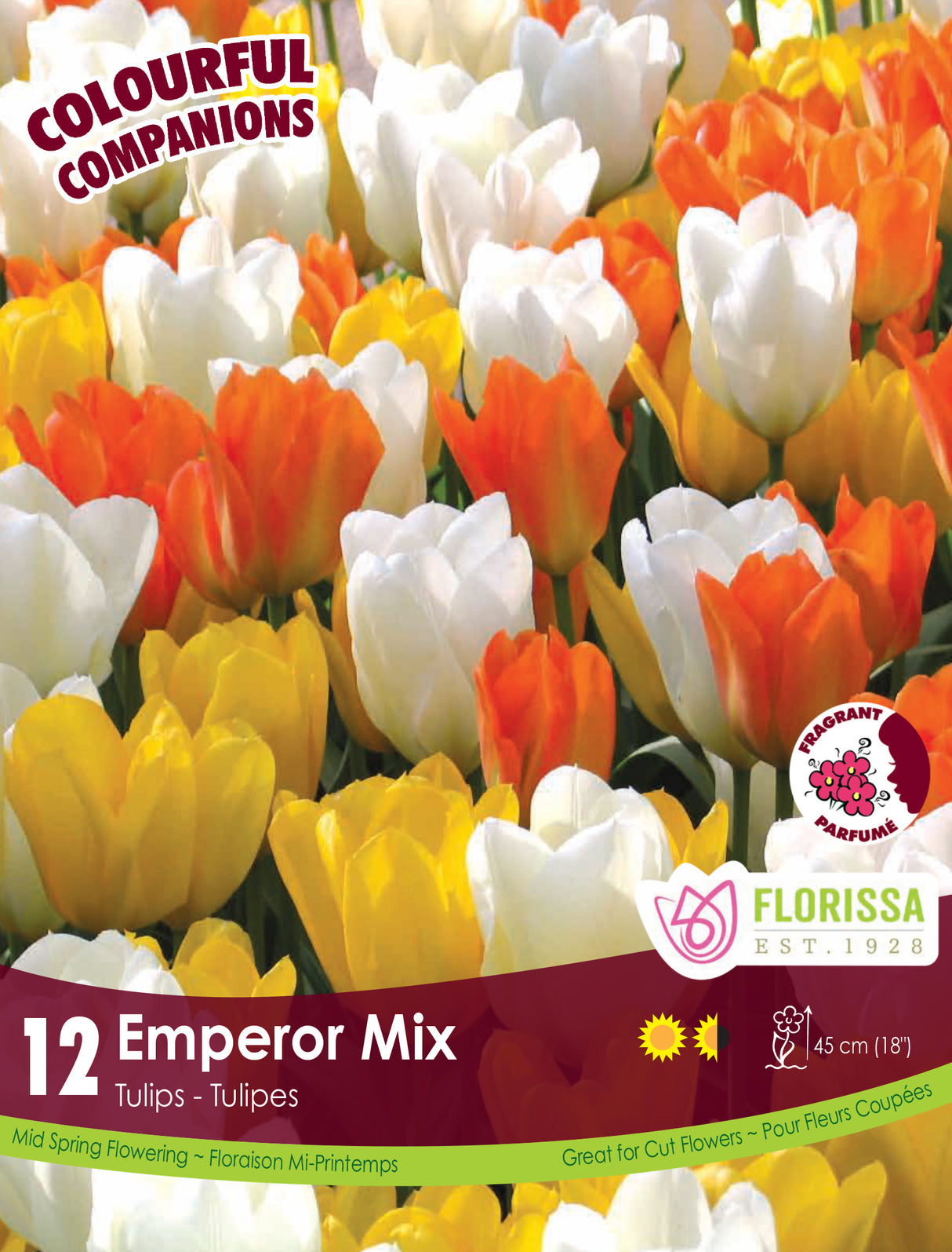 Fall Colourful Companions - Emperor Mix Retail
