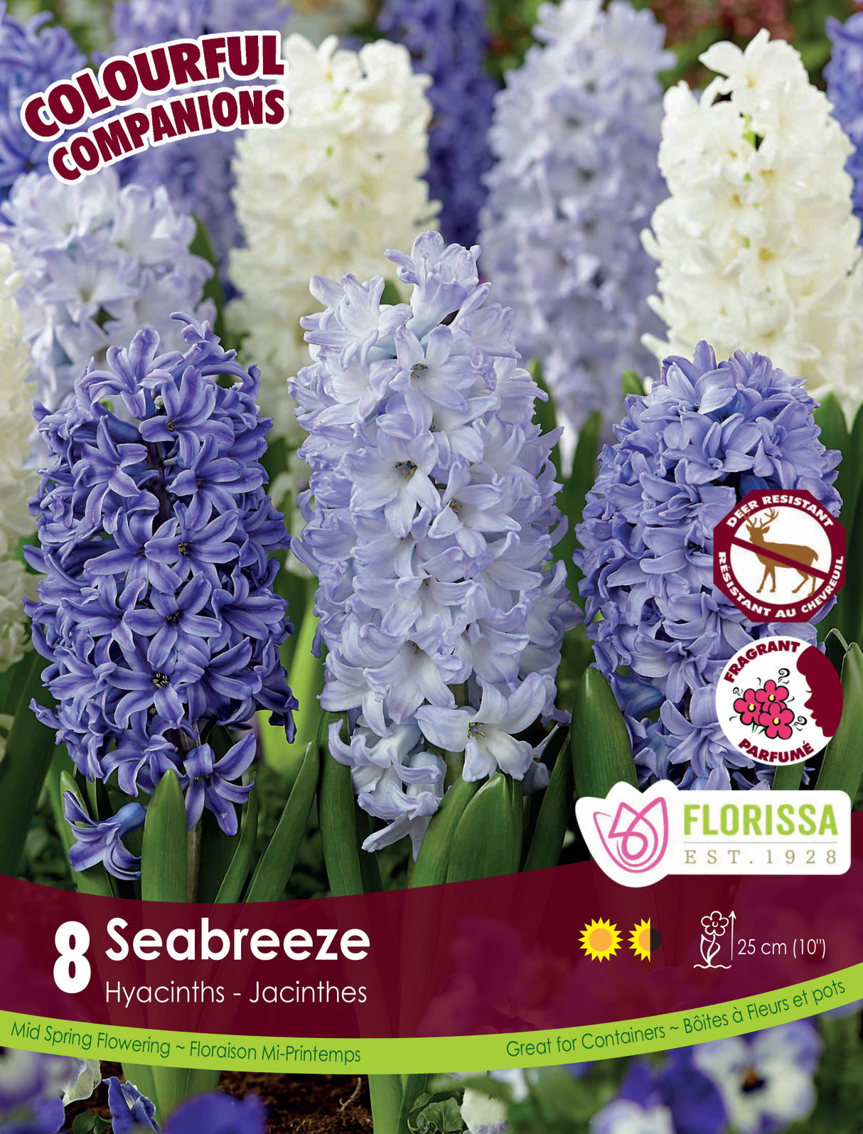 Fall Colourful Companions - Seabreeze Retail