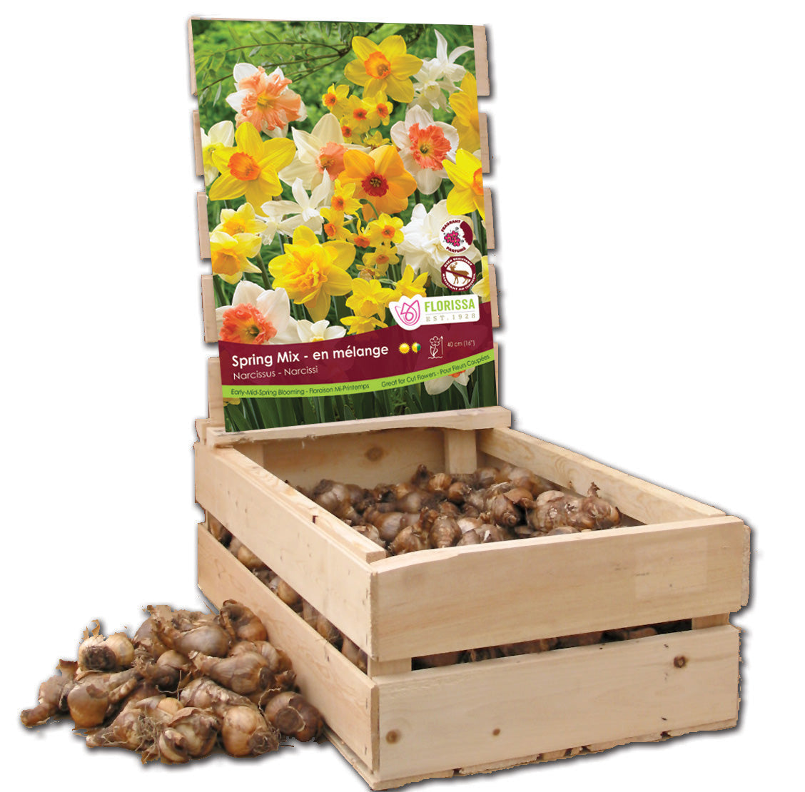 Wooden Crate with Lid
