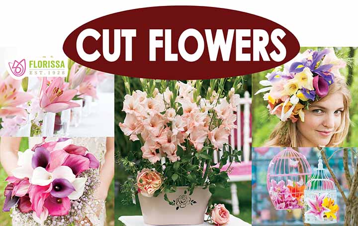 Metal Rack Topper - Cut Flowers