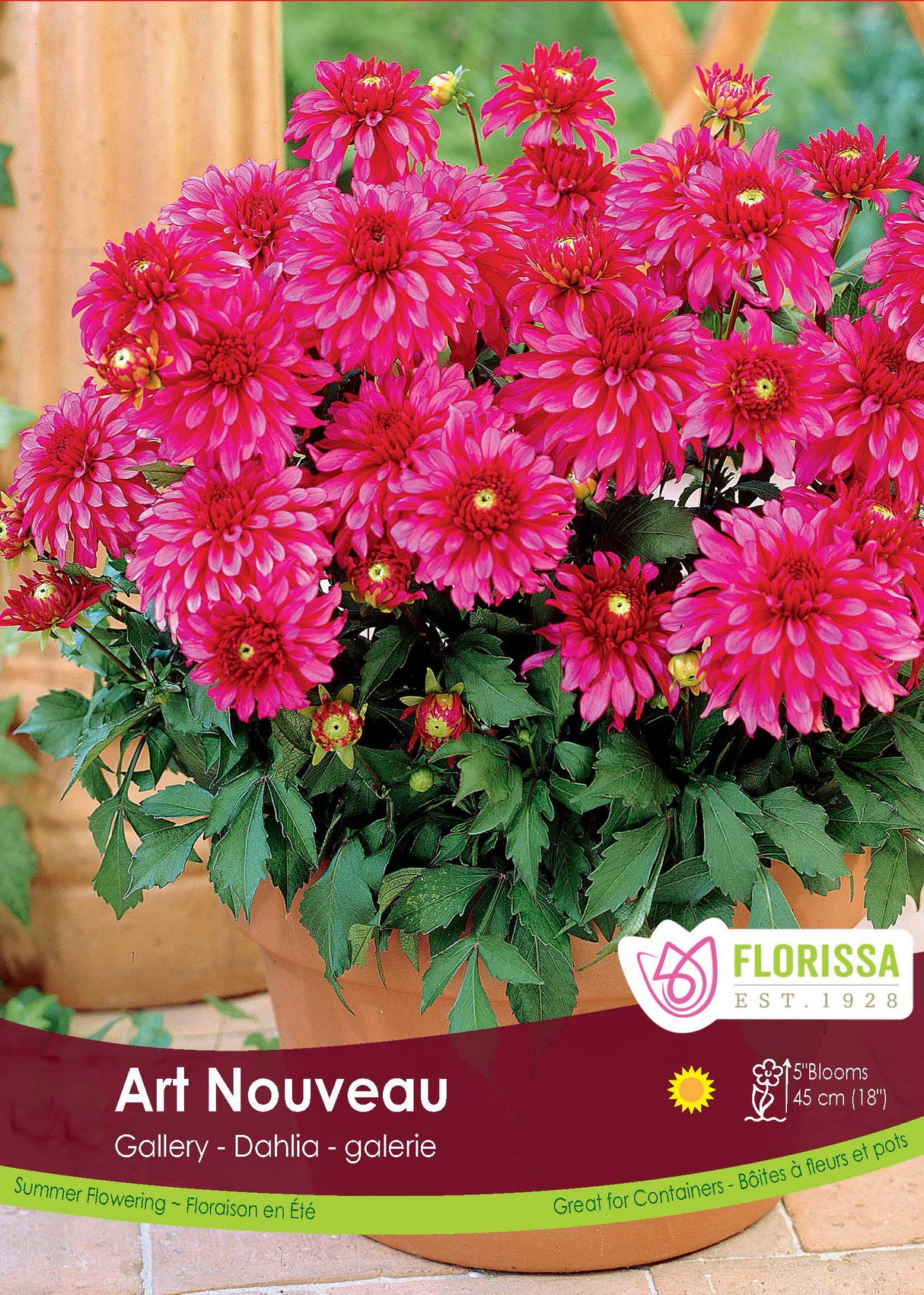 Dahlia Patio - Gallery Art Nouveau Retail Pkg
