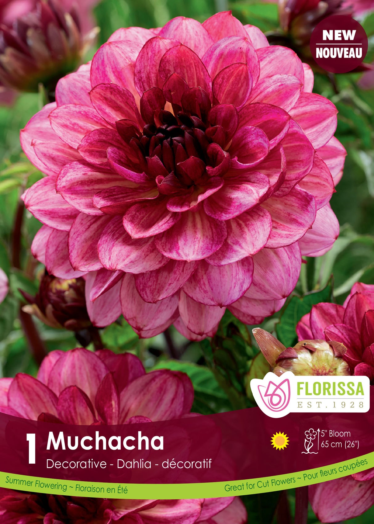 Dahlia Decorative - Muchacha Retail