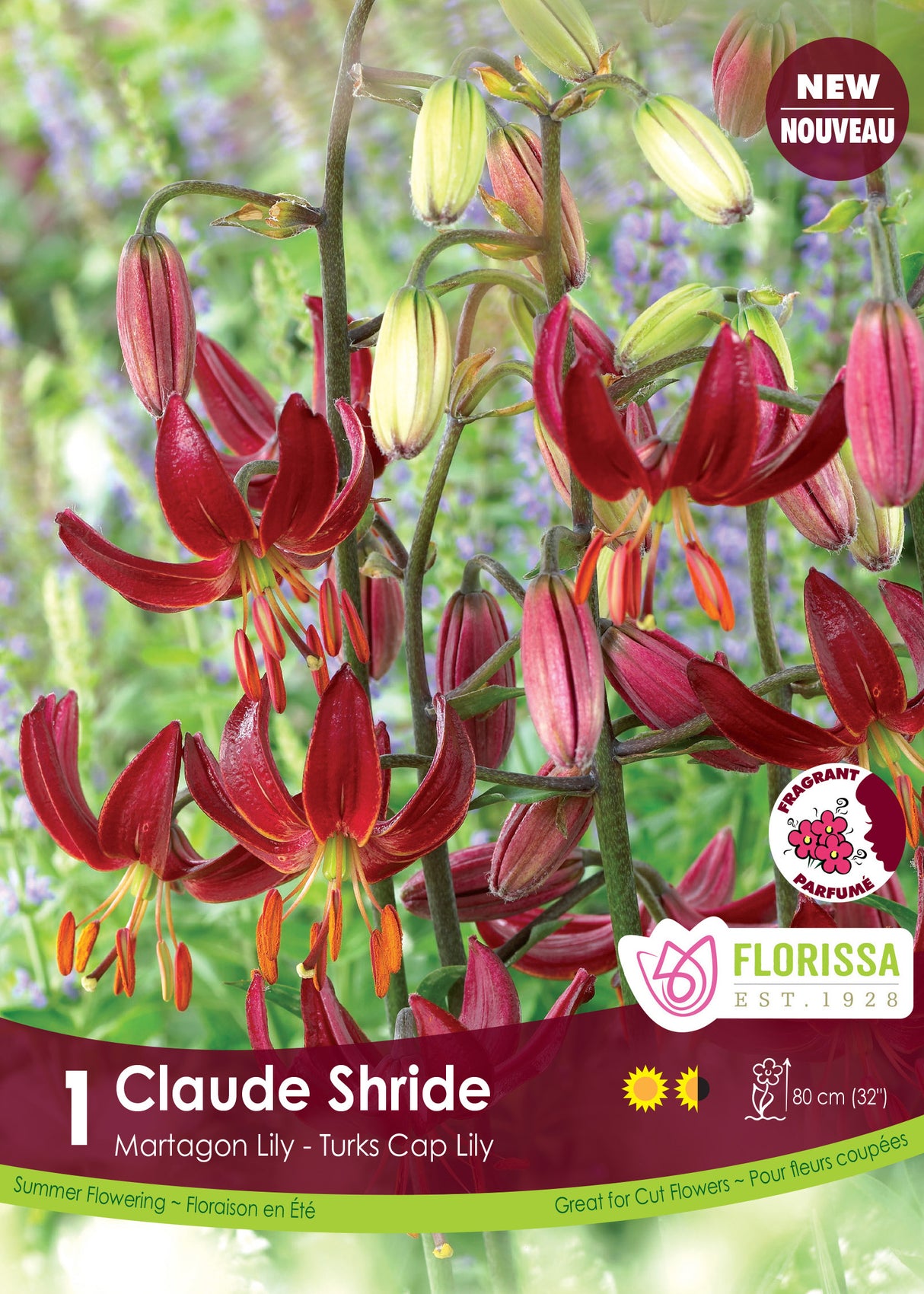Lily Martagon - Claude Shride Retail