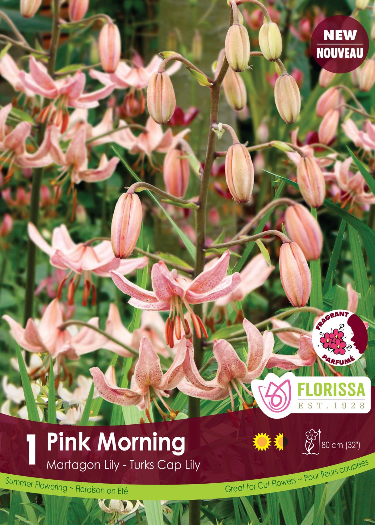 Lily Martagon - Pink Morning Retail