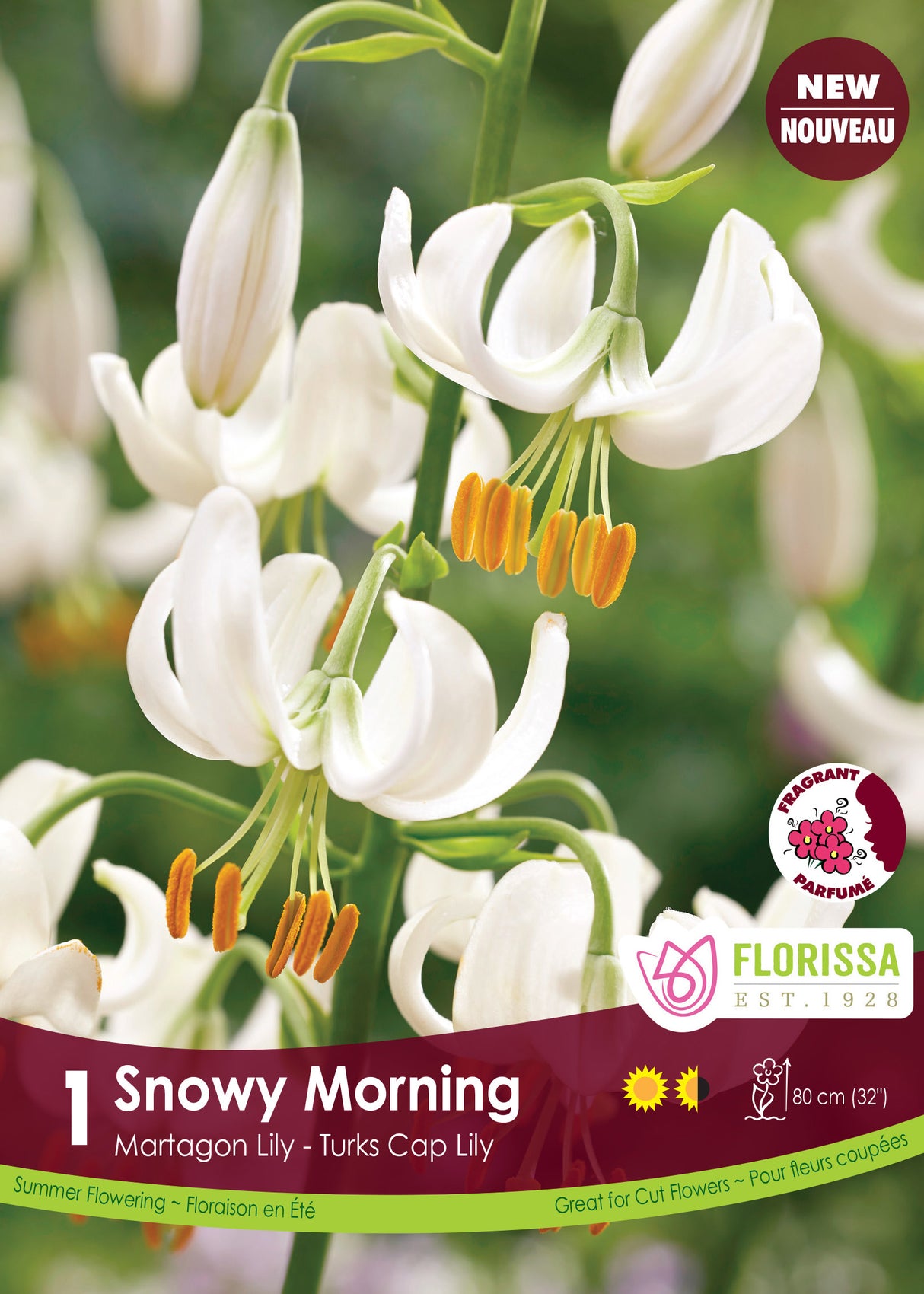 Lily Martagon - Snowy Morning Retail