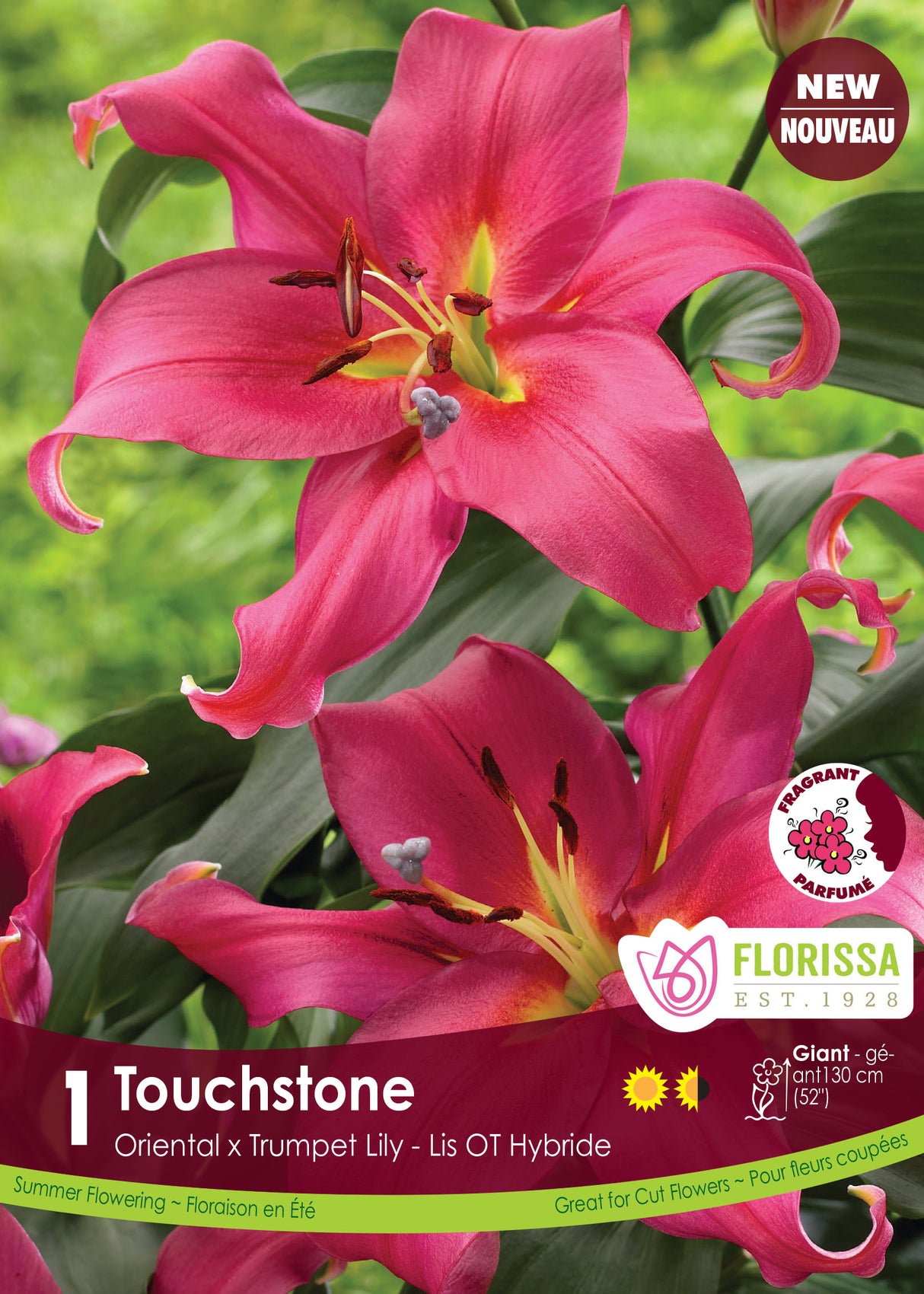 Lily O/T Hybrid  - Touchstone Retail