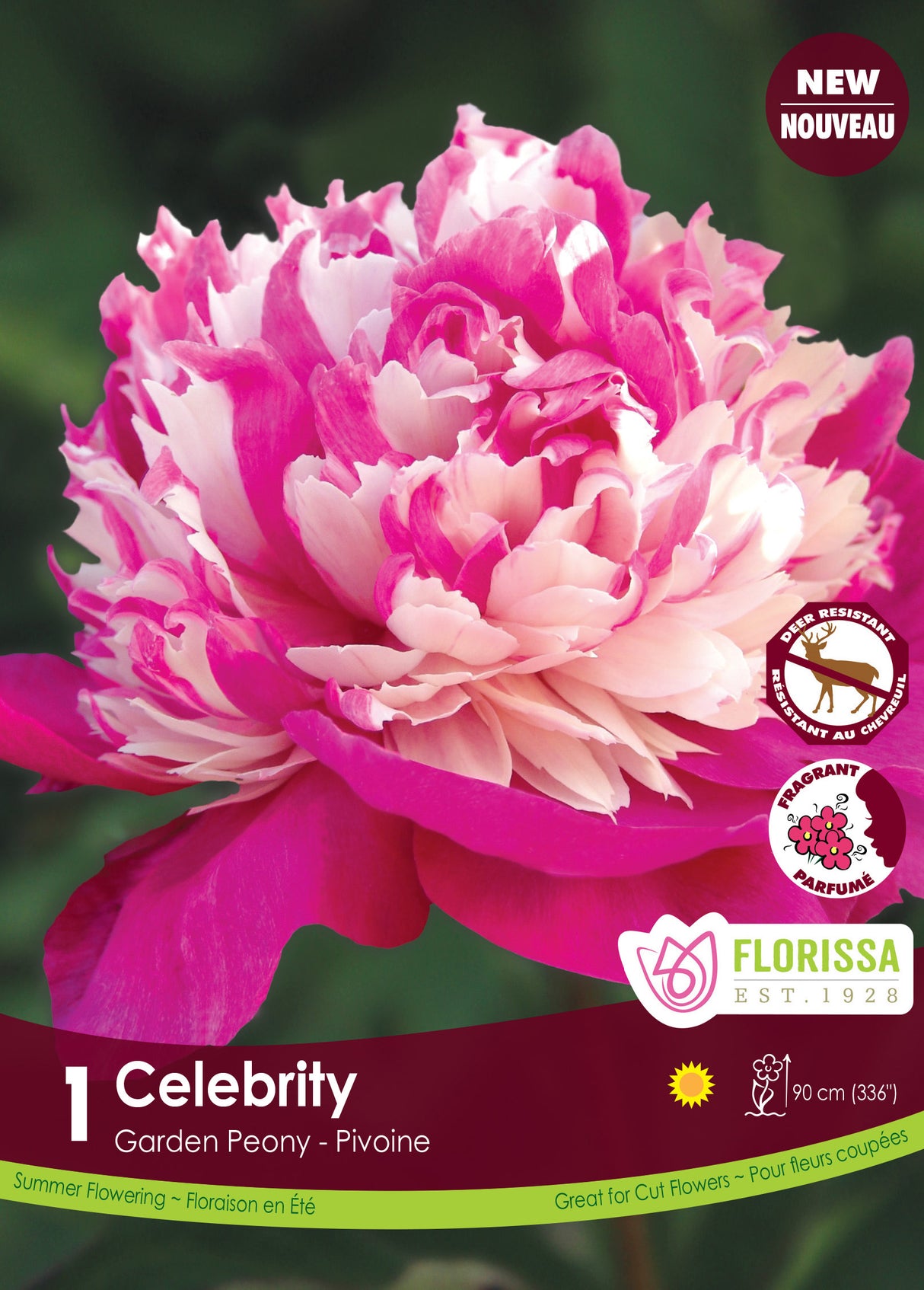 Paeonia - Celebrity Retail