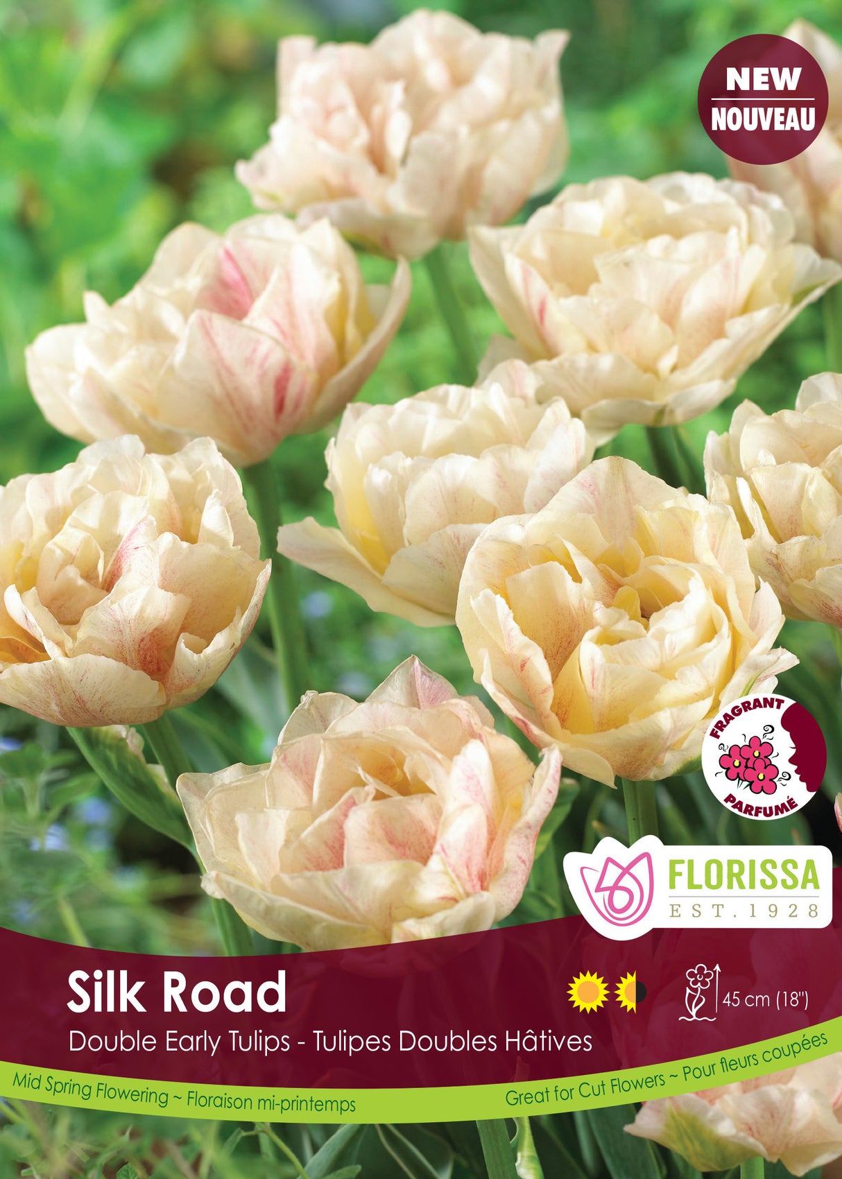Tulip Double Early - Silk Road Bulk