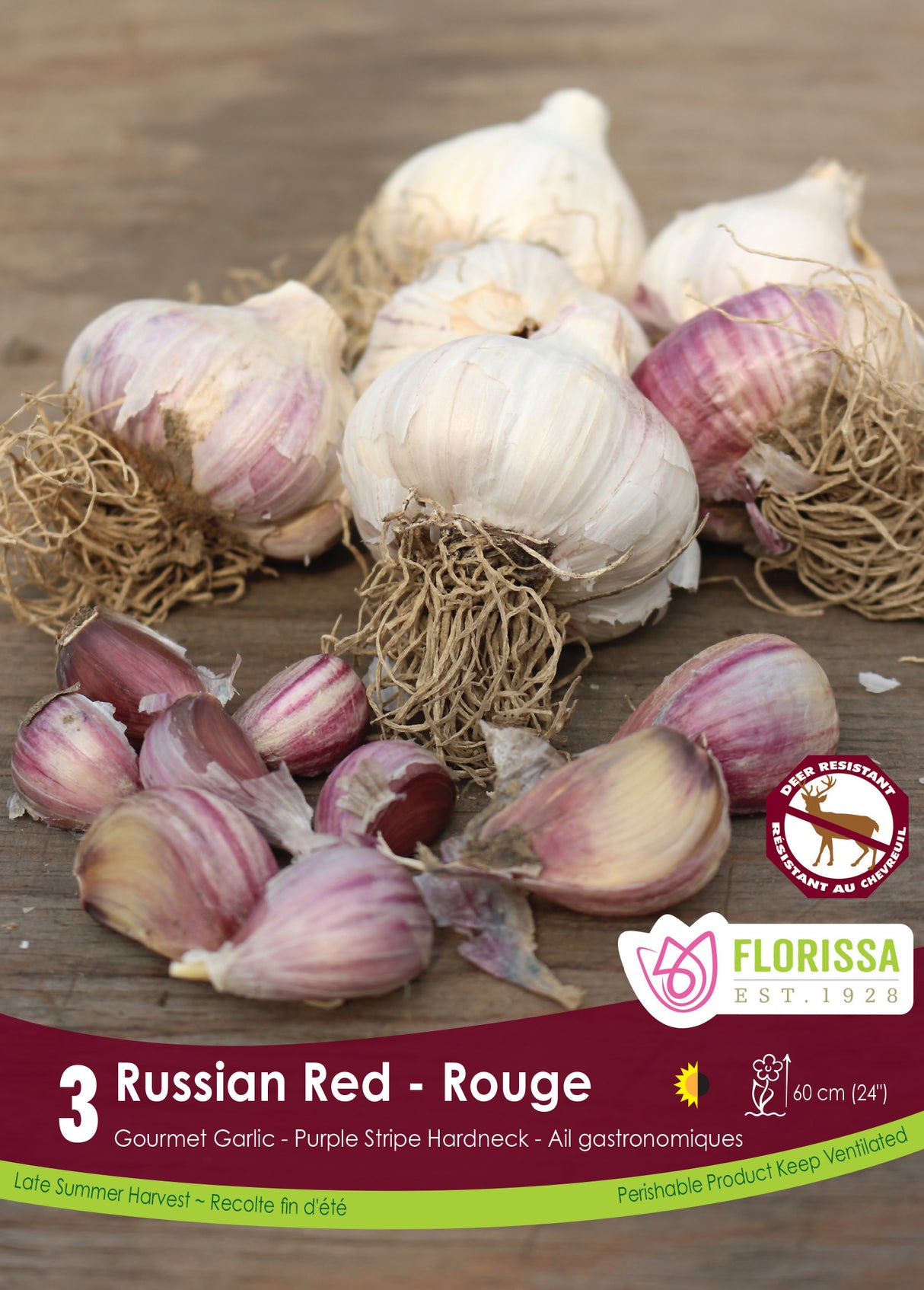Garlic - Russian Red Retail Pkg
