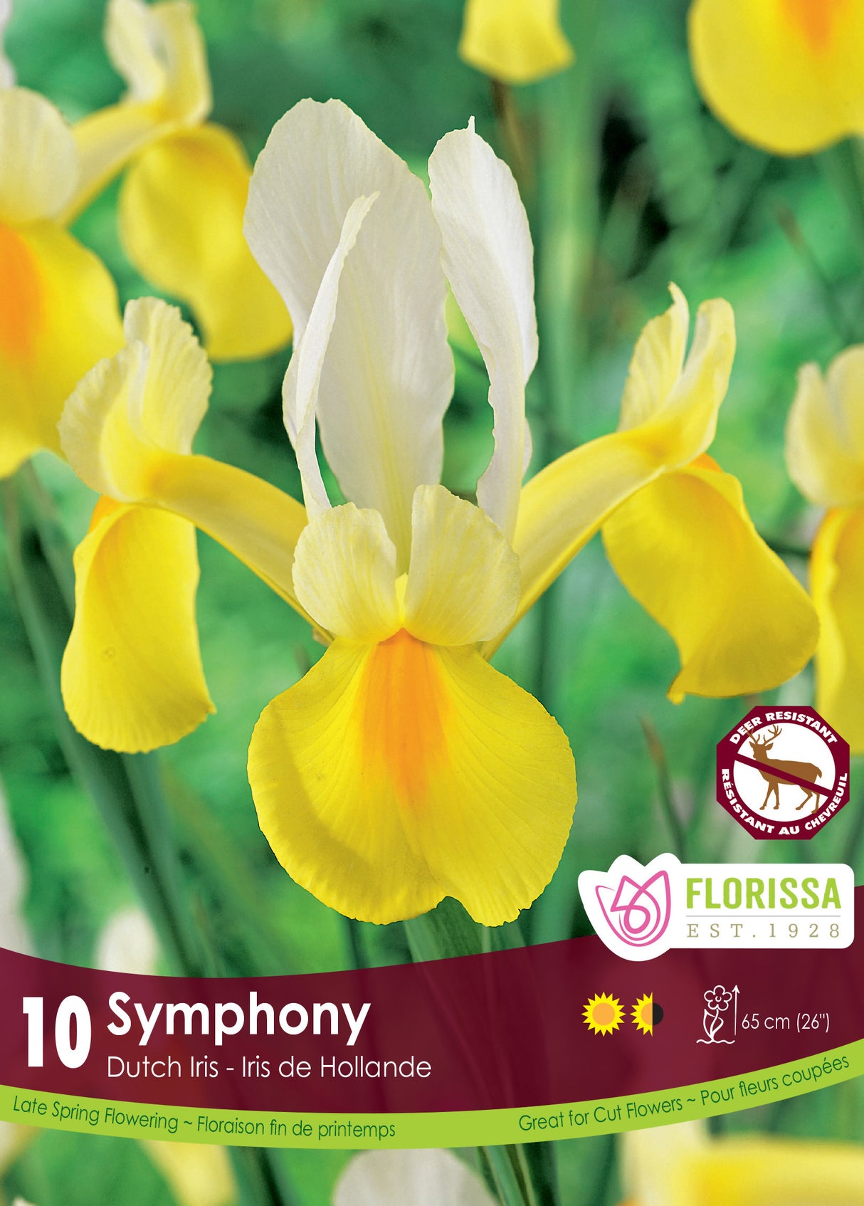 Iris Dutch - Symphony Retail