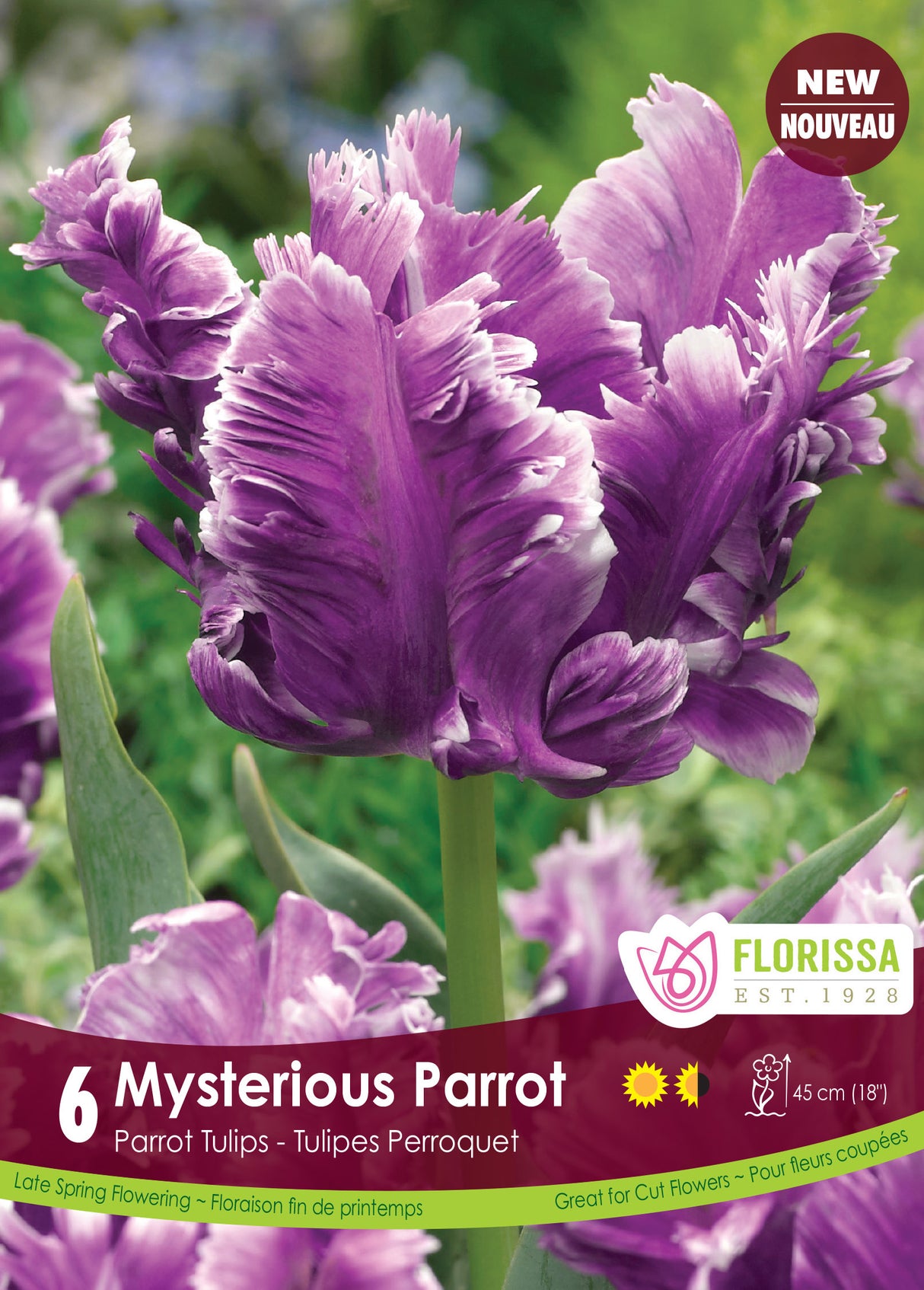 Tulip Parrot - Mysterious Parrot Retail