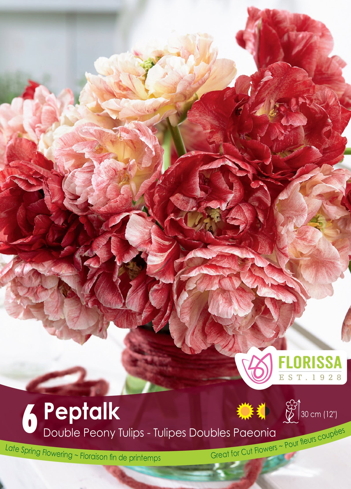 Tulip Double Late - Peptalk Retail