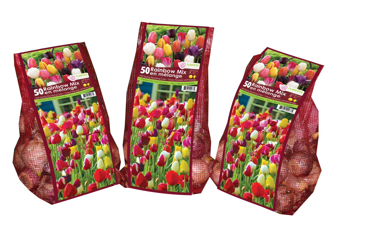 Tulip Triumph - Rainbow Mix Mesh Bagged Bulbs