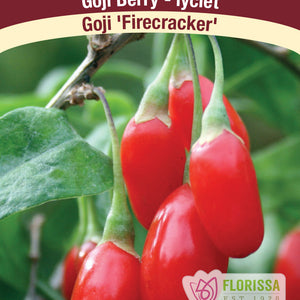 Goji Berry