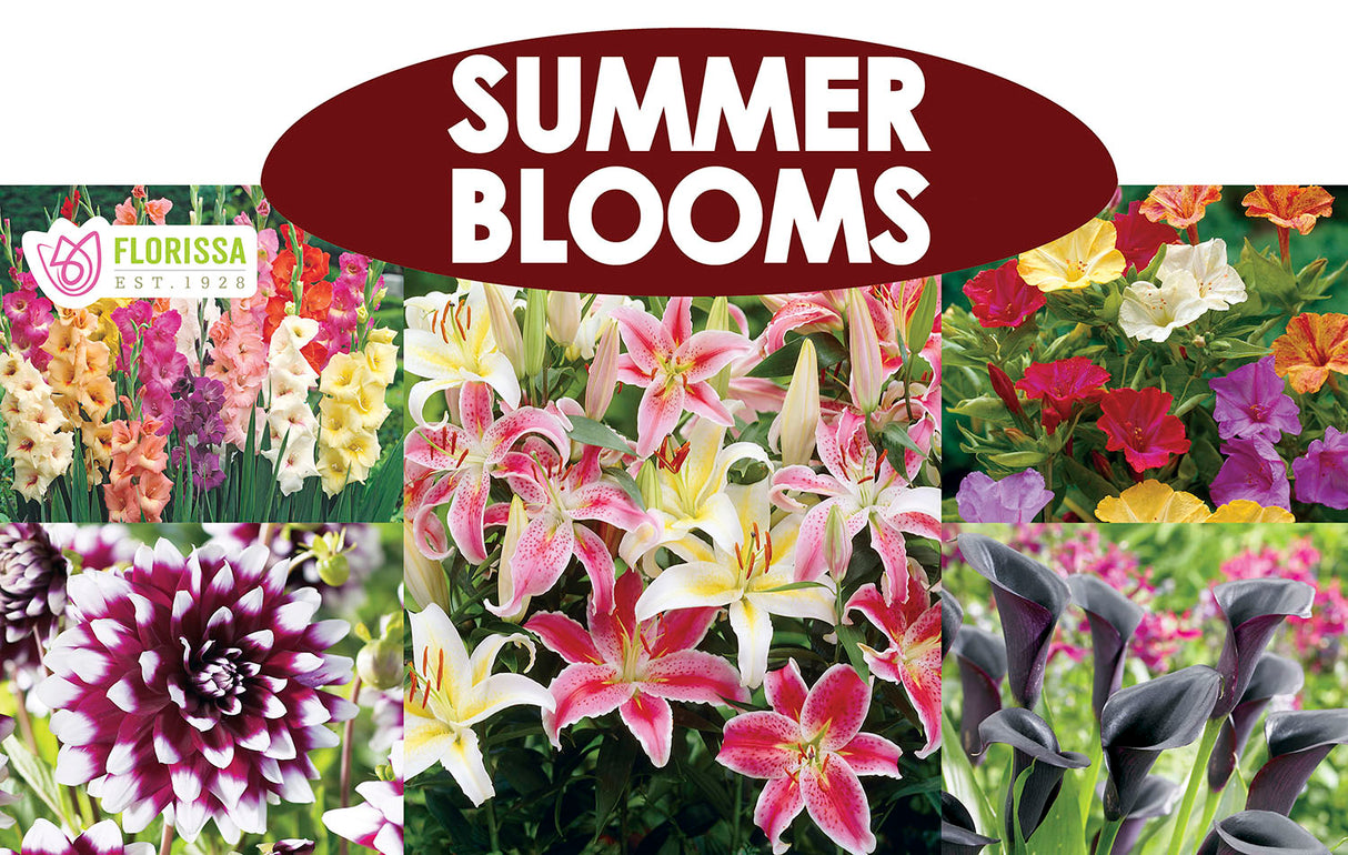 Metal Rack Topper - Summer Blooms 25" long
